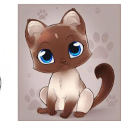 сиамский кот