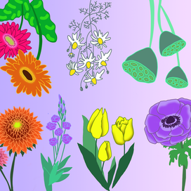Иллюстрация разновидностей цветов для флористического магазина