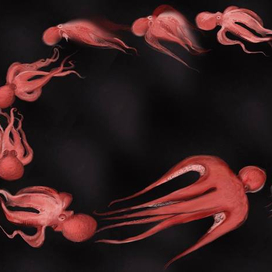 к фильму Маркос и Маркос