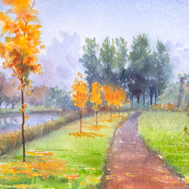 Желтые  клены