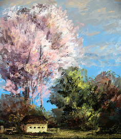 Розовый цвет