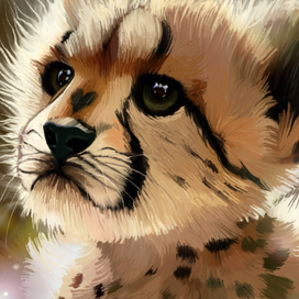 Иллюстрации "Животные"