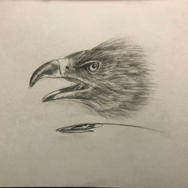 рисунок карандашом