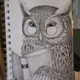 ученая сова 