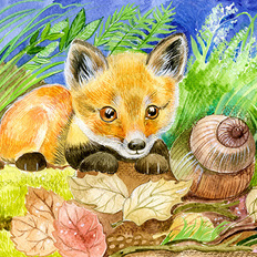 Лисенок и улитка