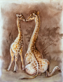 Жирафья нежность