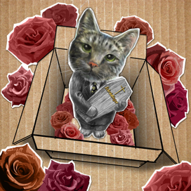 Шрёдингер Кота