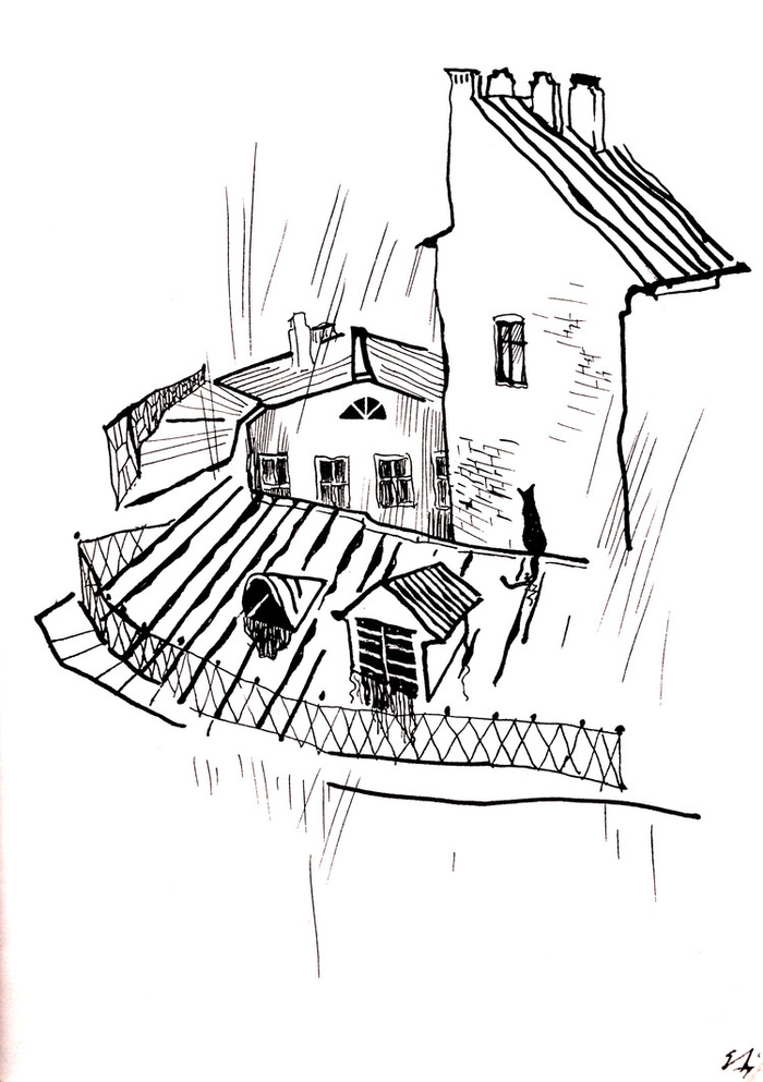 крыши. дождь.кошка