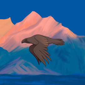 Кадр из анимации « летящий орел»