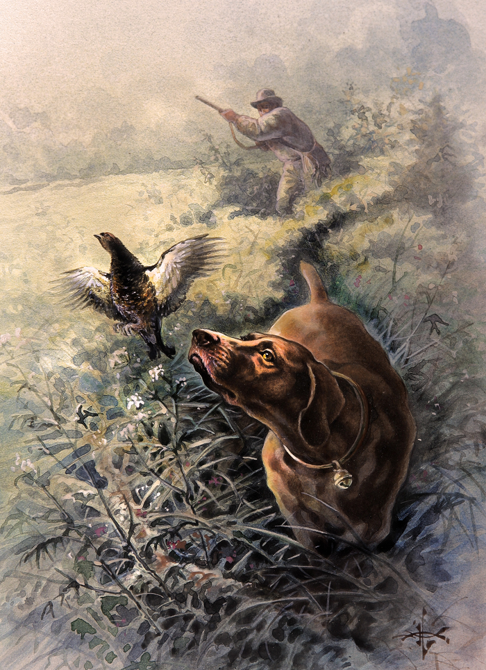 По выводкам...