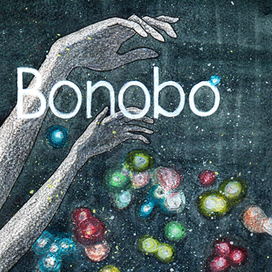 Bonobo