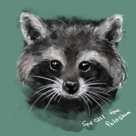 Енот для заказчика-енота)