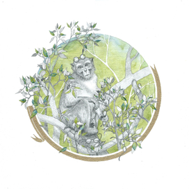 Иллюстрация для басни "Мартышка и очки", И. Крылов