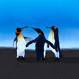 Пингвины на отдыхе