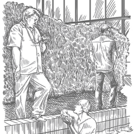 Разговор с тренером