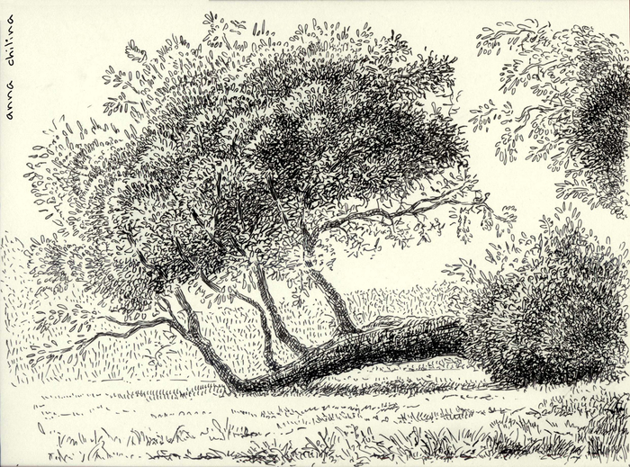 из серии "в Коломенском"