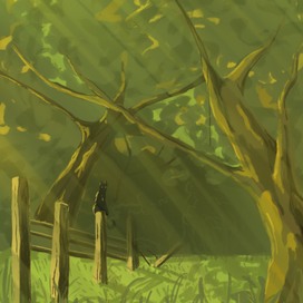 Утренний лес