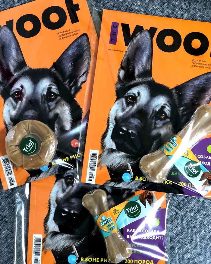 Обложка журнала 