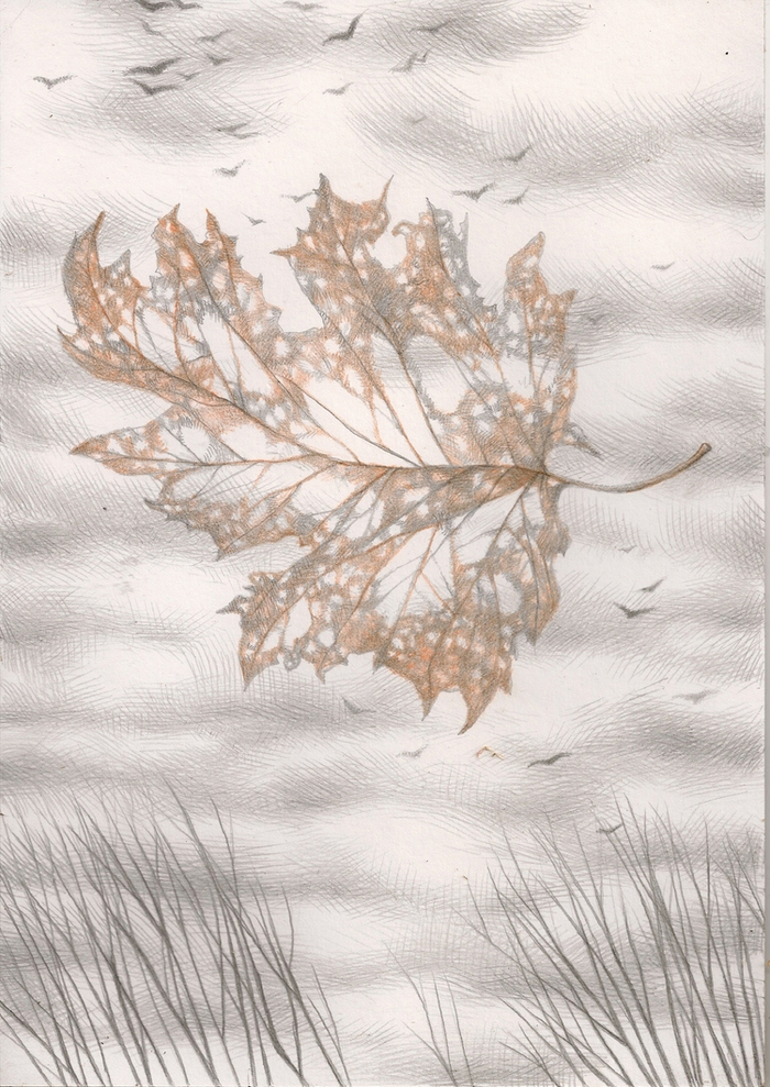 отражение, интоннации 2