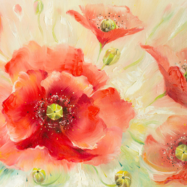 Нежные маки