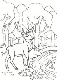 раскраска 2