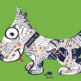 Газетная собака..Собака-барабака...