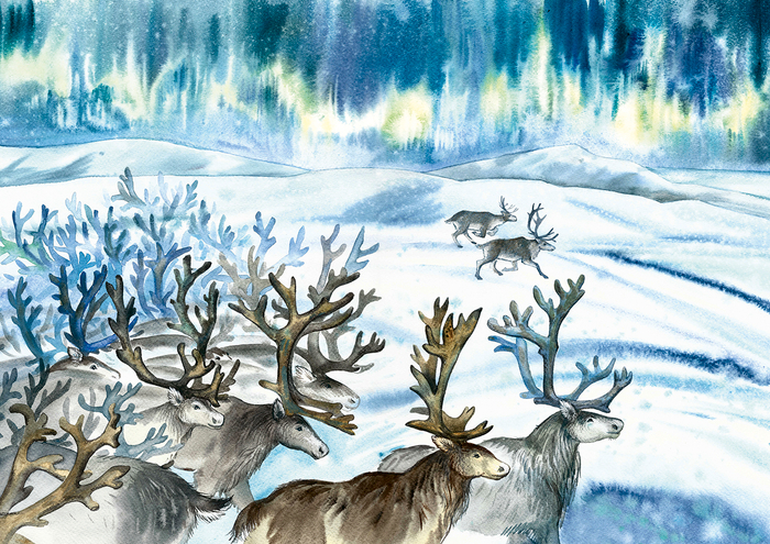 Разворот к книге Г. Емельяновой “Девочка Бусинка с берегов Охотского моря. Эвенкийские сказки” изд. "БХВ" 2021