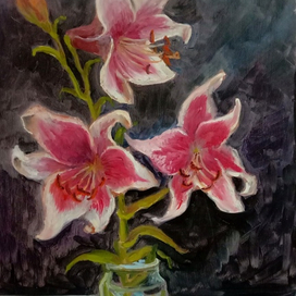 На вечернем окне.