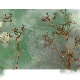 Звенящая невесомость