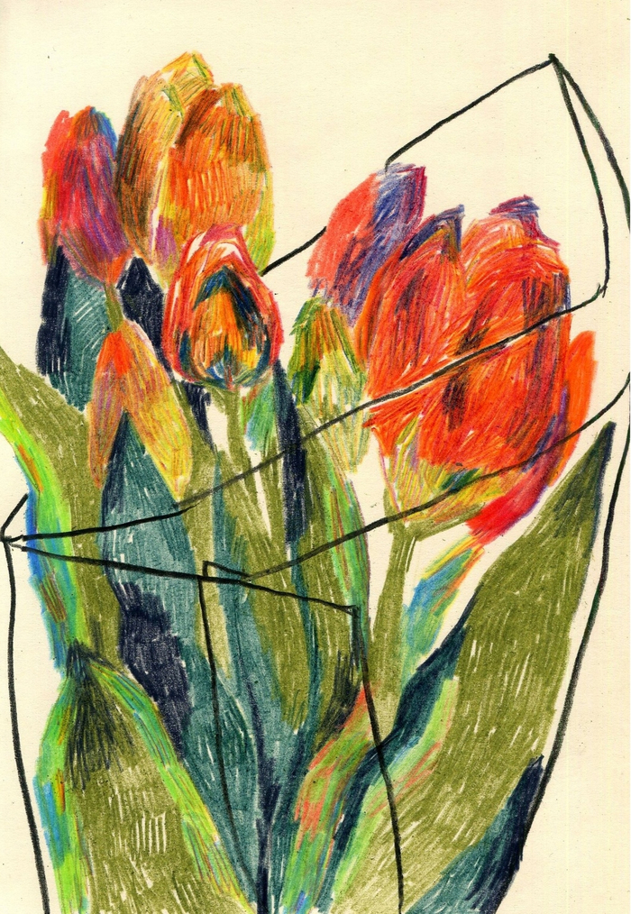 Тюльпаны