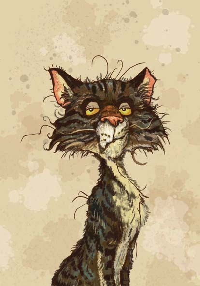 Кошаки для карточек настольной игры