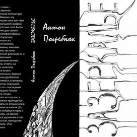 Обложка к книге А. Погребняка "Зазеркалье"