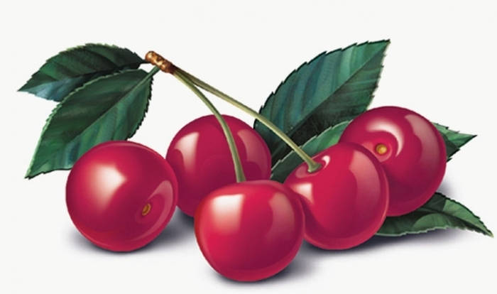 вишня для "фругурта" вимм-билль-данн