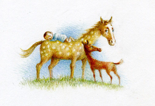 Коники- коники...