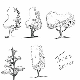 Скетч деревьев