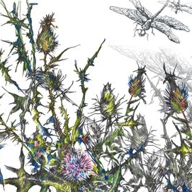 Полет стрекозы над цветами репейника