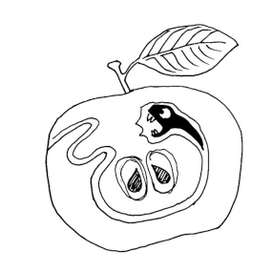 Червивое яблоко