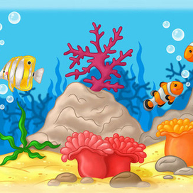 Кто в океане живет_3