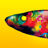 Голодные рыбы...