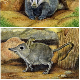  "О всех созданиях, больших и малых".