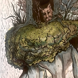 Лесной пень