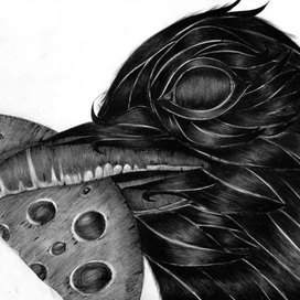 Шариковая ручка .