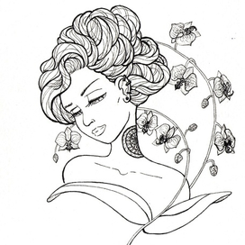 Скетч, орхидеи