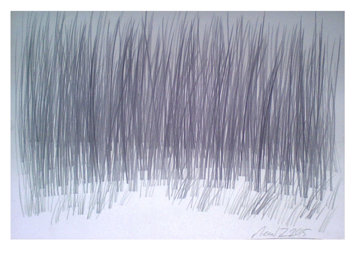 Странный лес зоны №Z