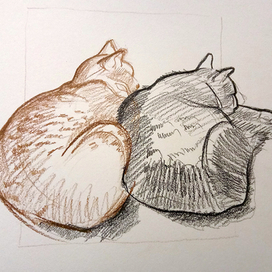 Барсик и Ева