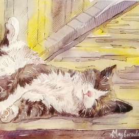 "Ох, уж эти котики"...