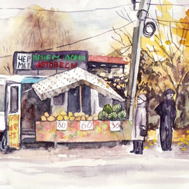 Дыни и арбузы