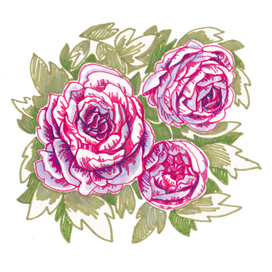 peonies