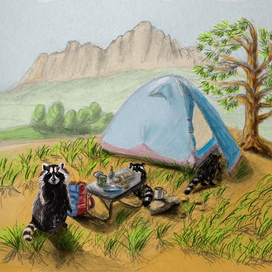 Еноты в горах Кавказа