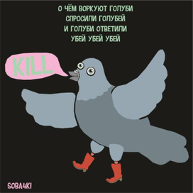 продолжая тему птиц